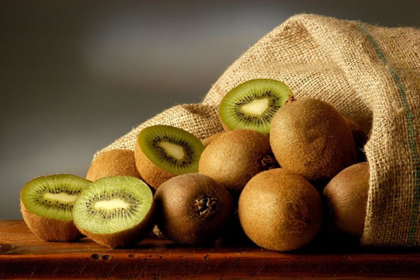 Mantenha o equipamento importante Kiwifruit - Recorder de temperatura da cadeia fria