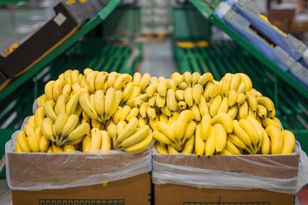 Logger de dados de temperatura de uso único garante a qualidade das frutas