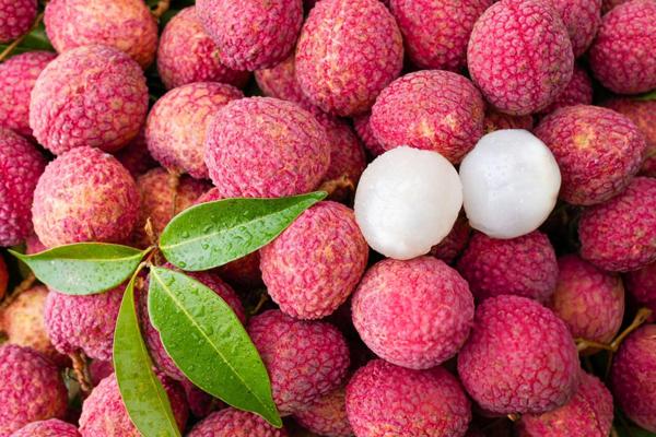 O gravador de temperatura e umidade do LCD pode reduzir o problema de perda de transporte de litchi