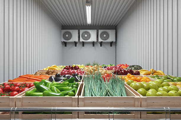 A importância dos gravadores de temperatura de transporte para transporte de alimentos